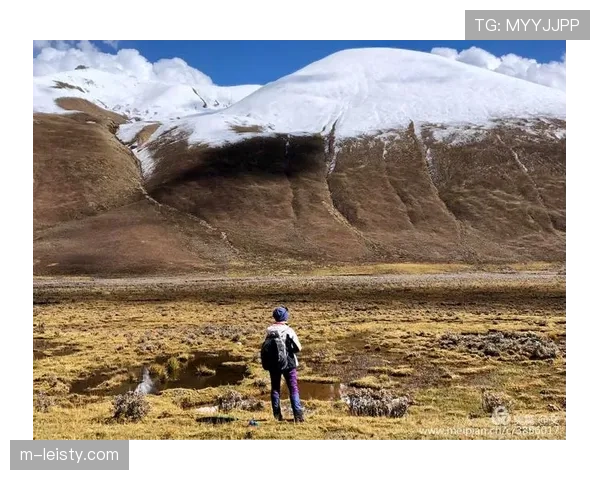 镜头捕捉：机械故障后，里奇·路德推车冲过终点线